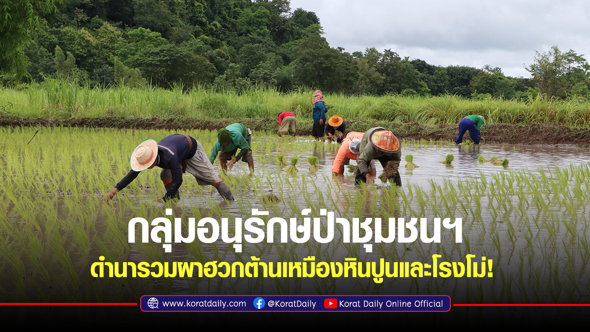 กลุ่มอนุรักษ์ป่าชุมชนฯ ดำนารวมผาฮวกต้านเหมืองหินปูนและโรงโม่! - Vimarsana News